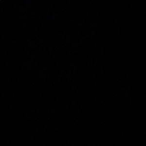 Meet your Posher, Carlos